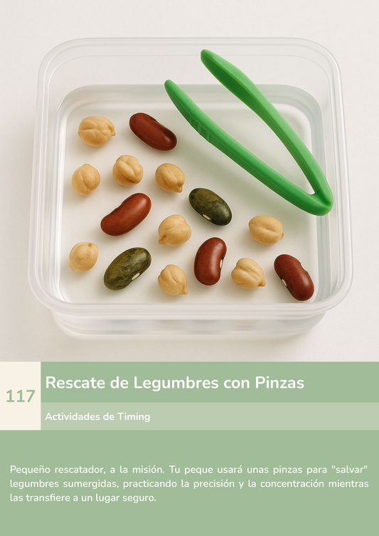 Torre de aprendizaje Montessori, actividad rescate de legumbres con pinzas.